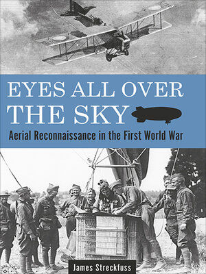 cover image of Eyes All Over the Sky